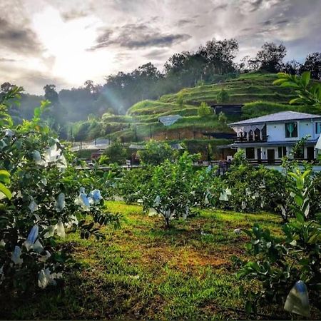 I Do Farmstay Bukit Mertajam Luaran gambar